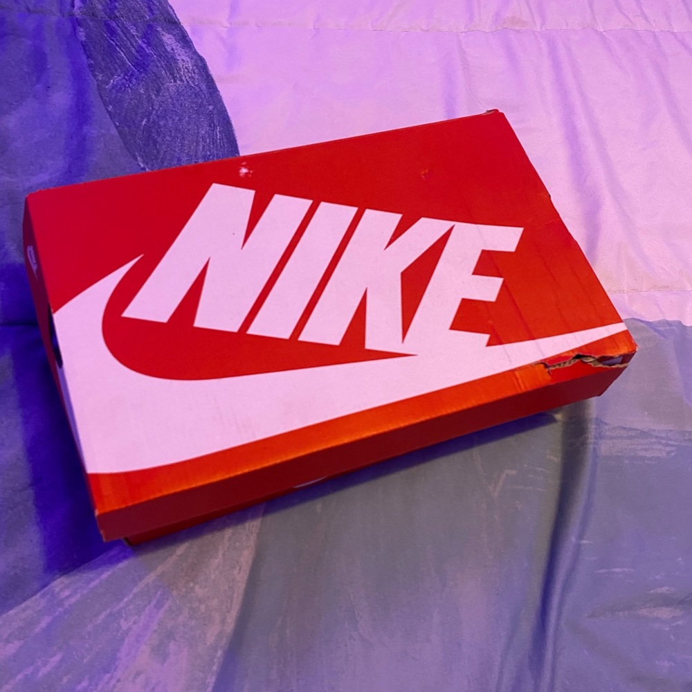 Nike dunk low